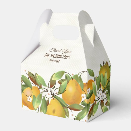 Birnen Frucht botanisch Geschenkschachtel (Vorderseite)