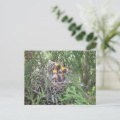 Birnen im Nest Postkarte (Stehend Vorderseite)