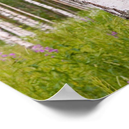 Birnen in finnischen Wäldern Poster (Ecke)