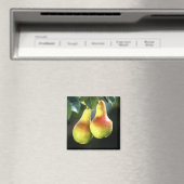 Birnen Magnet (In Situ (Geschirrspüler))