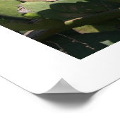 Birnen Poster (Ecke)