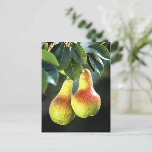 Birnen Postkarte (Stehend Vorderseite)