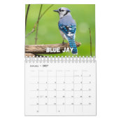 Birnen-Showcase-Sammlungs-Mauerkalender Kalender (Jan 2027)