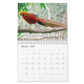 Birnen-Showcase-Sammlungs-Mauerkalender Kalender (Feb 2027)