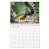 Birnen-Showcase-Sammlungs-Mauerkalender Kalender (Mär 2027)