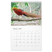 Birnen-Showcase-Sammlungs-Mauerkalender Kalender (Feb 2027)
