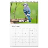 Birnen-Showcase-Sammlungs-Mauerkalender Kalender (Jan 2027)