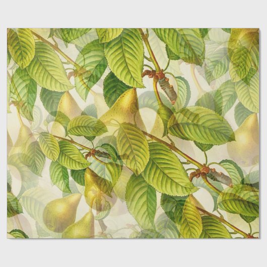 Birnen und Blätter Geschenkpapier (Flach)