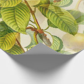 Birnen und Blätter Geschenkpapier (Ecke)