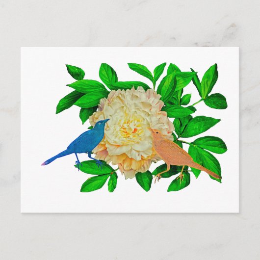 Birnen- und Blume-Poster Postkarte (Vorderseite)