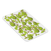 Birnen wachsen magnet (Rechte Seite)