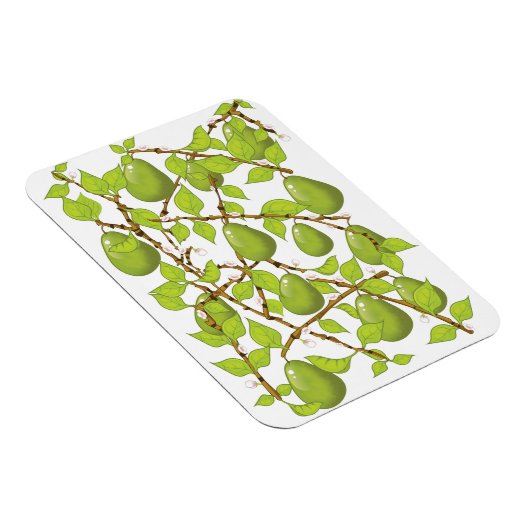 Birnen wachsen magnet (Rechte Seite)