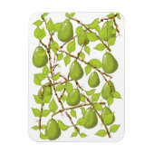 Birnen wachsen magnet (Vertikal)