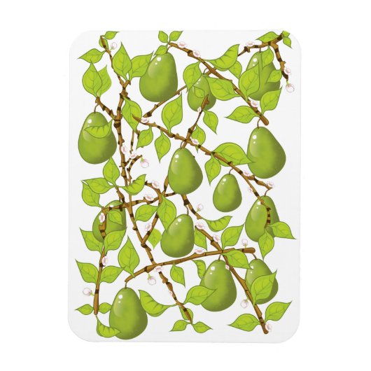 Birnen wachsen magnet (Vertikal)