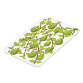 Birnen wachsen magnet (Linke Seite)