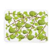 Birnen wachsen magnet (Horizontal)