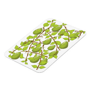 Birnen wachsen magnet