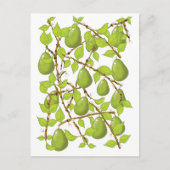 Birnen wachsen postkarte (Vorderseite)