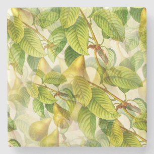 Birnenbaumzweige und Birnenmuster Steinuntersetzer