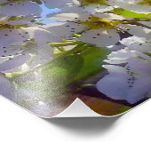 Birnenblüten Fotodruck (Ecke)