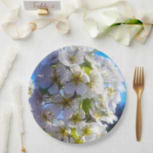 Birnenblüten Pappteller