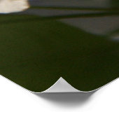 Birnenblüten Poster (Ecke)