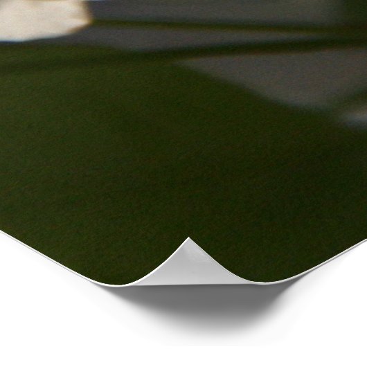 Birnenblüten Poster (Ecke)