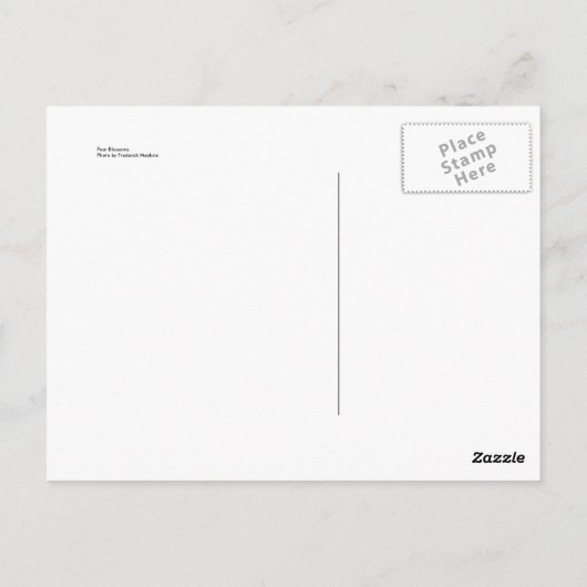 Birnenblüten Postkarte (Rückseite)