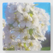 Birnenblüten Steinuntersetzer (Vorderseite)