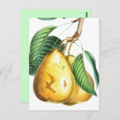 Birnenkarte Postkarte (Vorne/Hinten)