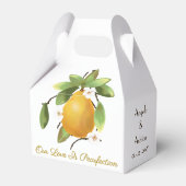 Birnensteife Geschenkschachtel (Rückseite)