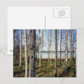 Birnenwald in Finnland Postkarte (Vorne/Hinten)