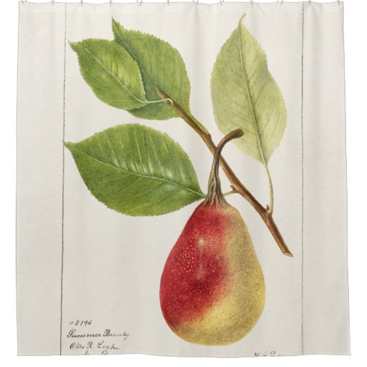 Birnenzweig (Pyrus Communis)(1893) Small Duschvorhang (Vorderseite)