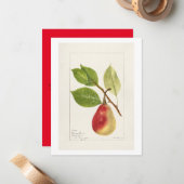 Birnenzweig (Pyrus Communis)(1893) Small Mitteilungskarte (Vorderseite/Rückseite Beispiel)