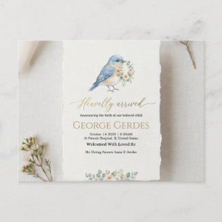 Birth Announcement Postcard Ankündigungspostkarte