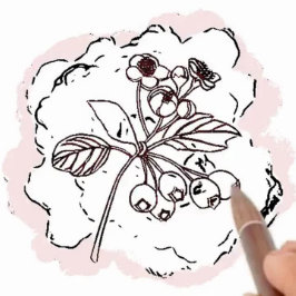 Birth Blume Hawthorn Rosa Denken Sie an Sie Karte