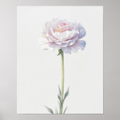 Birth Blume Januar Carnation Poster (Vorne)