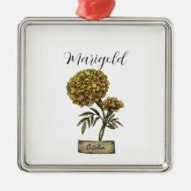 Birth Blume OCTOBER Geburtstag Marigold