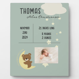 Birth Stats Baby Bear Dusche Plaque Schild - Grün Fotoplatte