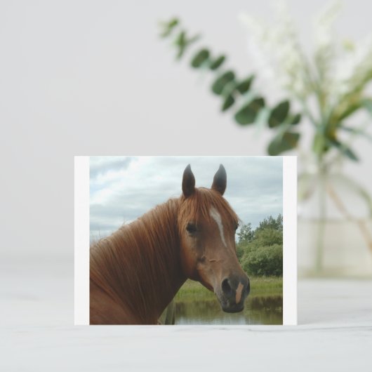 Birthday 012 postkarte (Stehend Vorderseite)