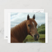 Birthday 012 postkarte (Vorne/Hinten)