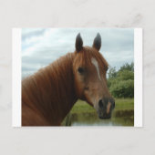 Birthday 012 postkarte (Vorderseite)