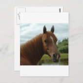 Birthday 012 postkarte (Vorne/Hinten)