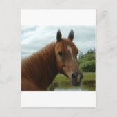 Birthday 012 postkarte (Vorderseite)