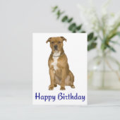 Birthday American Staffordshire Terrier Post Card Postkarte (Stehend Vorderseite)