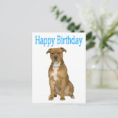 Birthday American Staffordshire Terrier Post Card Postkarte (Stehend Vorderseite)