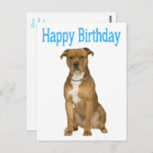 Birthday American Staffordshire Terrier Post Card Postkarte (Vorne/Hinten)