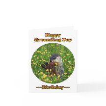 Birthday an Groundhog Day!