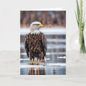 Birthday Bald Eagle on Ice Karte (Vorderseite)