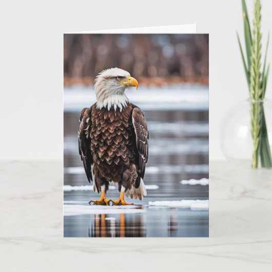 Birthday Bald Eagle on Ice Karte (Vorderseite)
